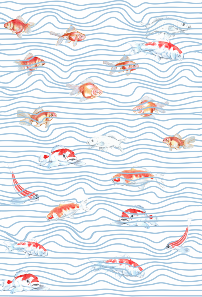 11 24 23 fish patternS